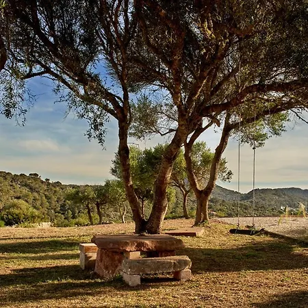 Turmaden Des Capita *